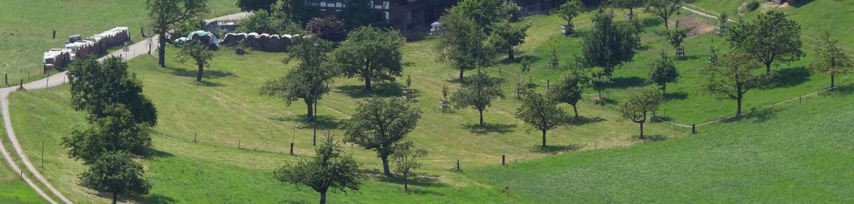 BERATUNG VERNETZUNG & LQB